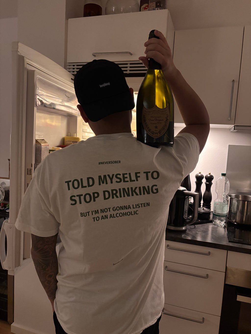 TOLD MYSELF TO STOP DRINKING. BUT I'M NOT GONNA LISTEN TO AN ALCOHOLIC